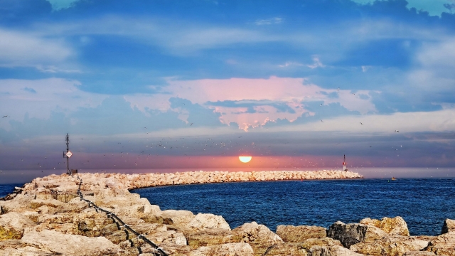 开云:儿童室内引体向上健身